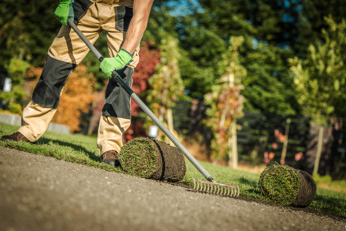 Rollrasen verlegen – sattgrüner Fertigrasen